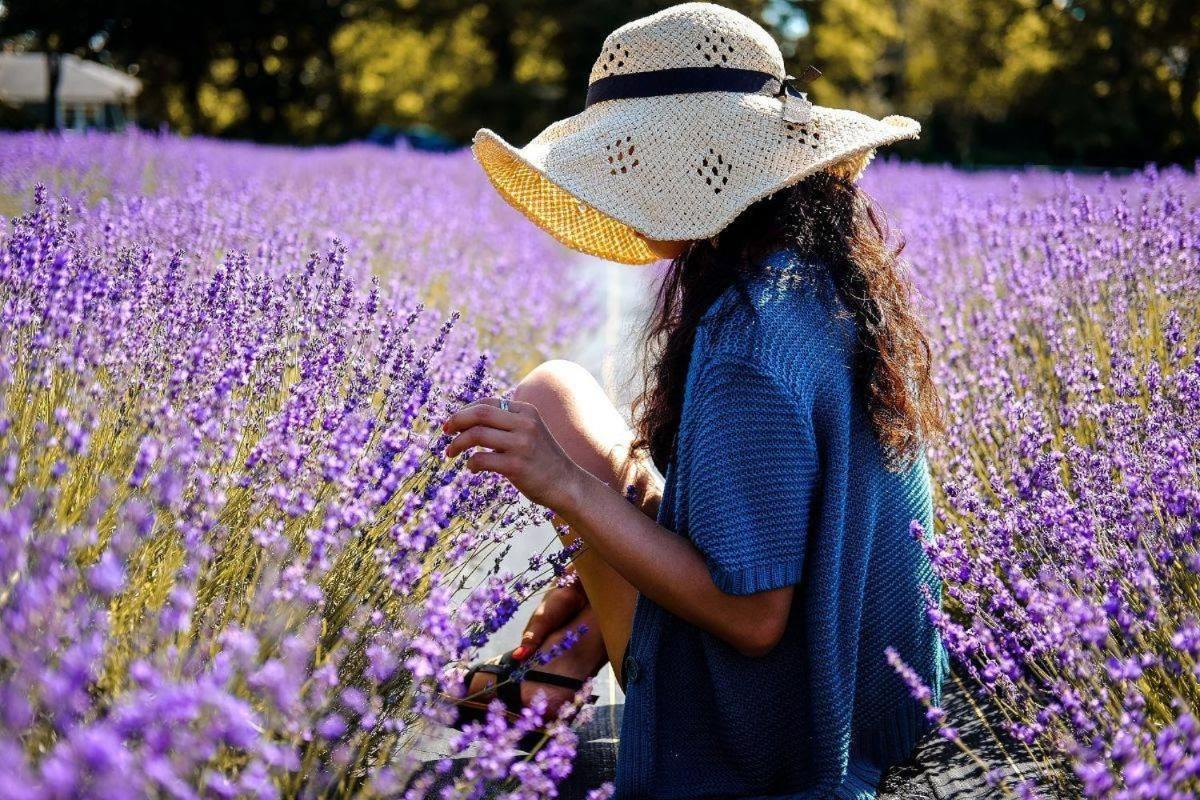 L'Oustaou Du Luberon Et Spa Villelaure Экстерьер фото