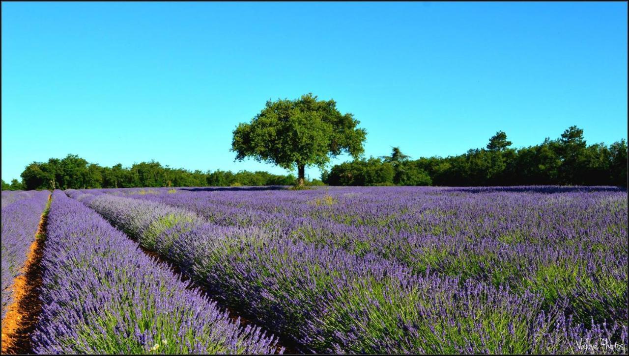 L'Oustaou Du Luberon Et Spa Villelaure Экстерьер фото
